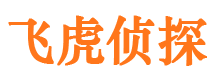 商城市调查公司